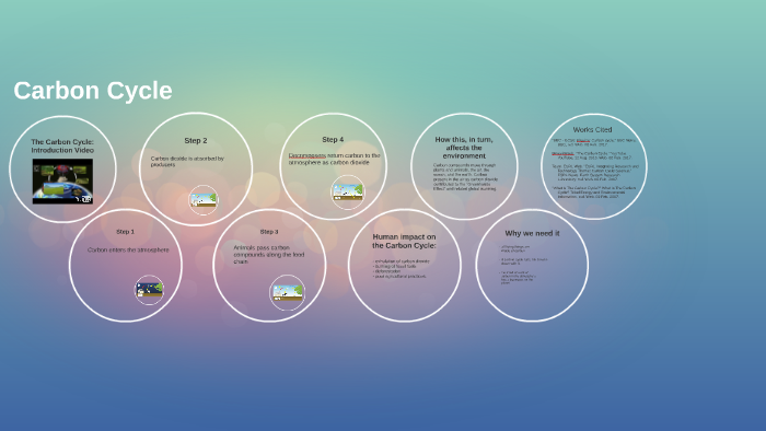 Carbon Cycle by Lauren Elmore on Prezi