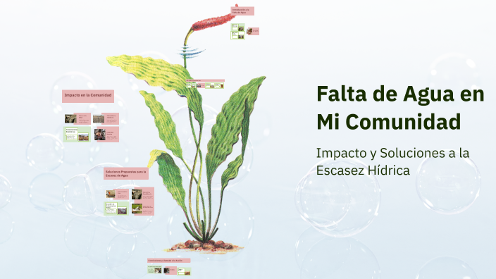 Falta de Agua en Mi Comunidad by Emiliano Cruz Sibaja on Prezi