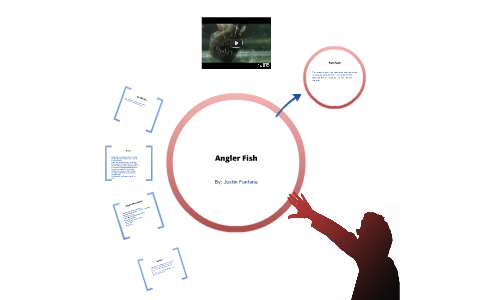 Angler Fish by Justin Fontane on Prezi