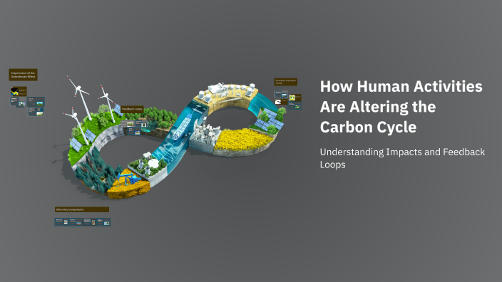 How Human Activities Are Altering the Carbon Cycle by Taran dosanjh on ...