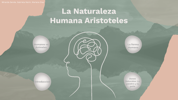 La Naturaleza Humana Según Aristoteles By MARIANA DIAZ RIVEROS