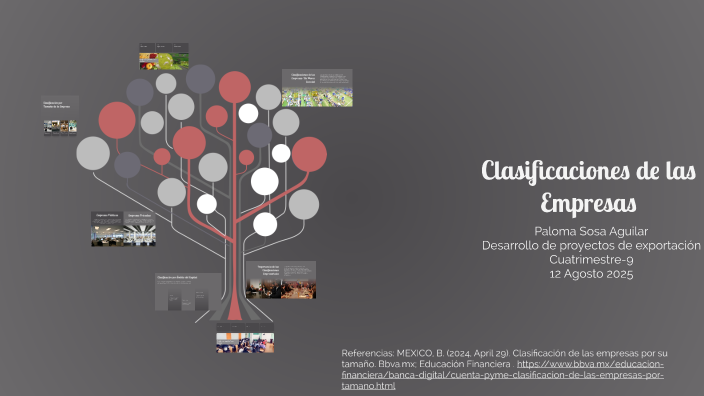 Clasificaciones de las Empresas by Paloma Sosa on Prezi