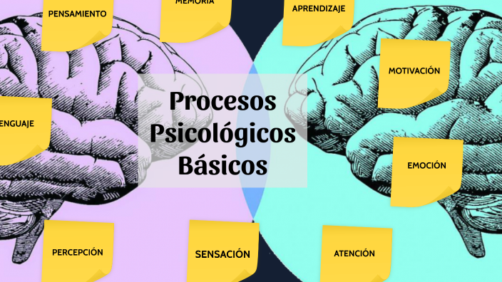 Mapa mental by Mariana Rodriguez Duarte on Prezi