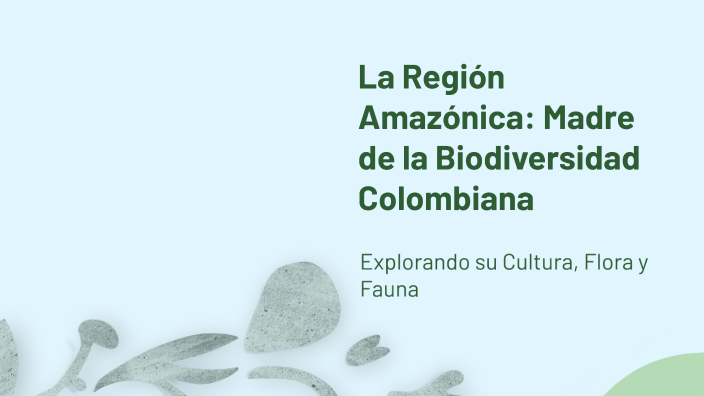 La Región Amazónica: Madre de la Biodiversidad Colombiana by andrx ...