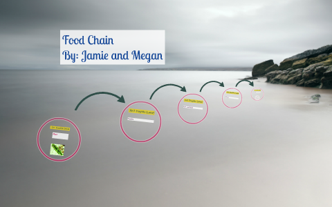 Food Chains by ha huynh on Prezi