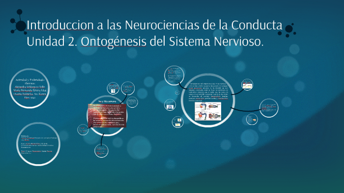 Introduccion A Las Neurociencias De La Conducta By Ana Karen Osorio