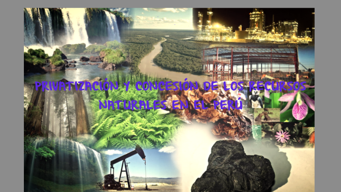PRIVATIZACIÓN Y CONCESIÓN DE LOS RECURSOS NATURALES EN EL PE by