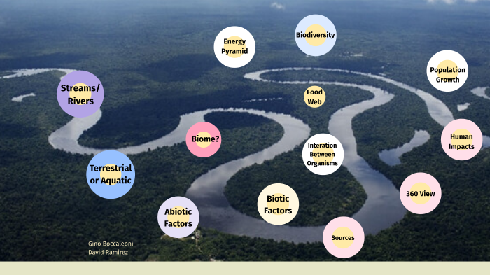Amazon River by David R2095-STU on Prezi