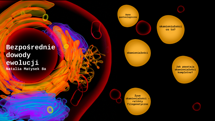 Bezpośrednie dowody ewolucji by Natalia Matysek on Prezi