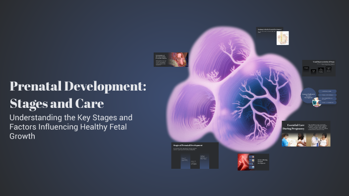 Prenatal Development: Stages and Care by Kris Vien Catandihan on Prezi