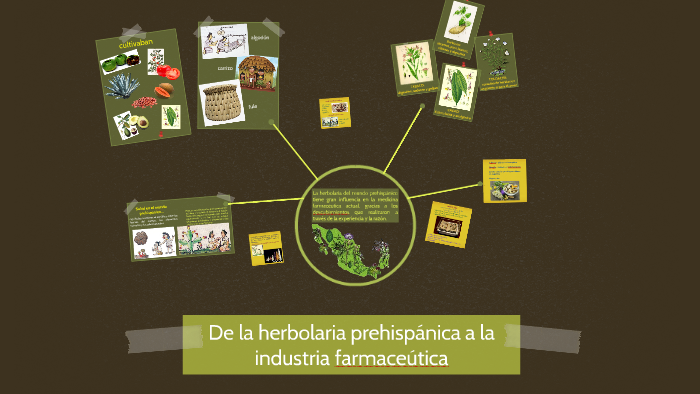 De la herbolaria prehispánica a la industria farmaceútica by Tania