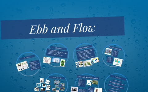 Ebb And Flow By Maddy B. On Prezi