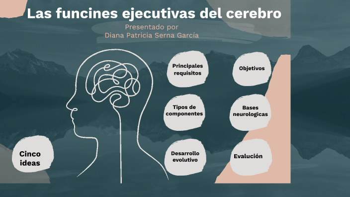 Las Funciones Ejecutivas Del Cerebro By Diana Patricia Serna Garcia On Prezi 3520