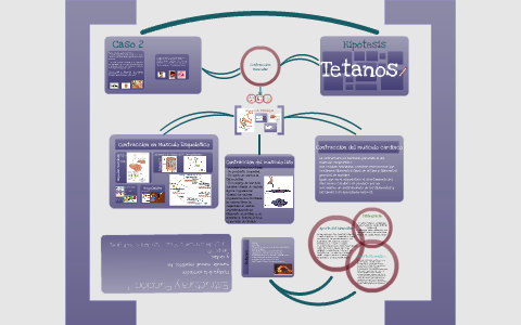 Caso 2 by Carolina Gv on Prezi