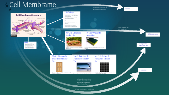 Cell Analogy Collage By Susan Ledezma On Prezi