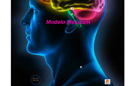 Modelo Mesulam by angie mendez on Prezi Next