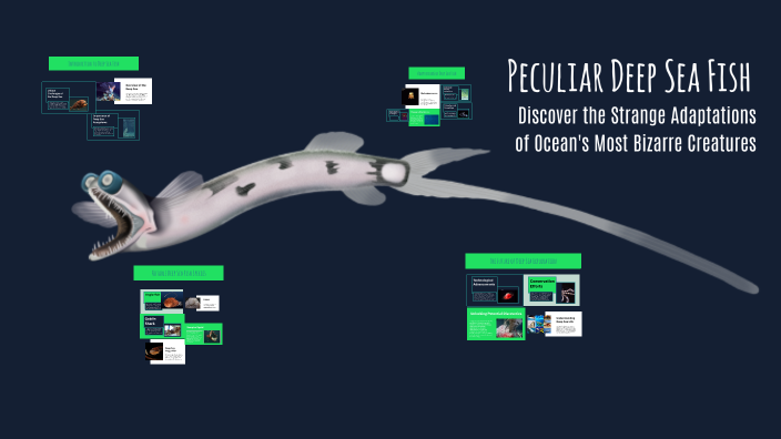 Peculiar Deep Sea Fish by Emily Barlow on Prezi
