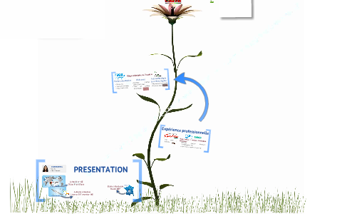 Cv Elsa CV Elsa by Elsa Dillenseger on Prezi