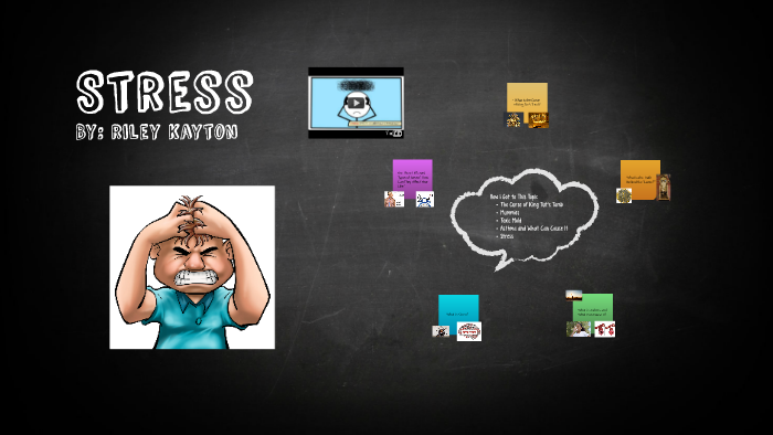 Stressed Riley Stress by riley kayton on Prezi