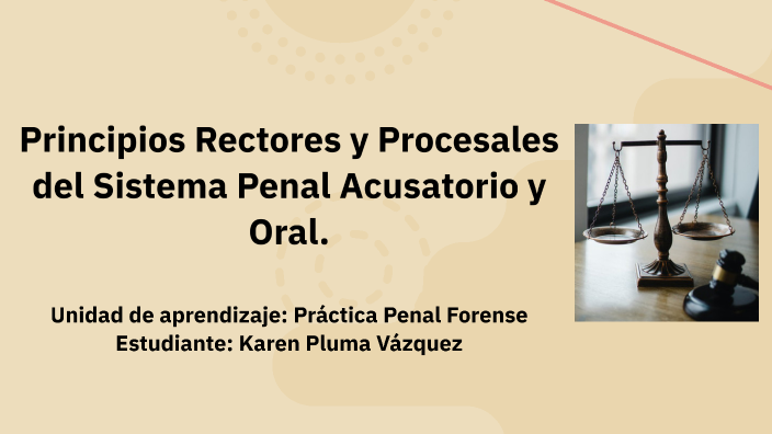 MAPA MENTAL. PRINCIPIOS RECTORES Y PROCESALES DEL SISTEMA PENAL