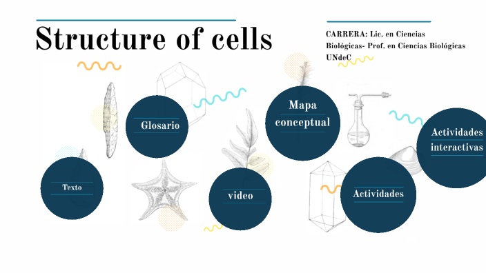 Structure of cells by Cynthia Vega on Prezi
