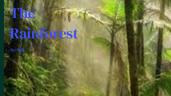 The Rainforest by William Lundberg on Prezi