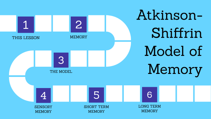 Atkinson - Shiffrin Model of Memory by Regan Bradshaw on Prezi