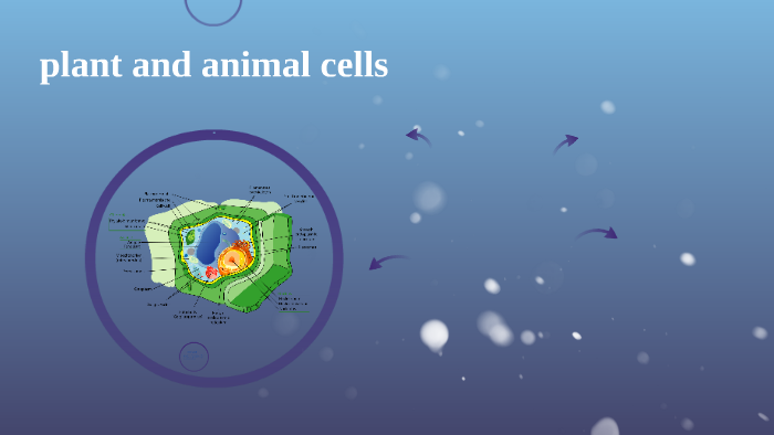 plant and animal cells by jovan lopez on Prezi