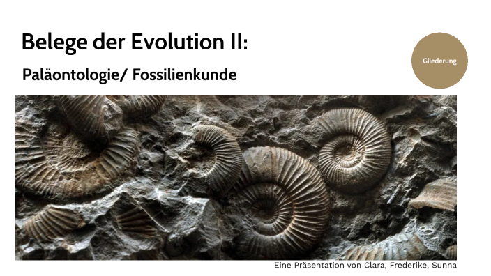Belege der Evolution II: by Clara-Sophie von Peschke on Prezi