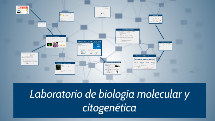 Laboratorio De Biología Molecular Y Citogenética By Sandra Pérez Linares On Prezi 2524