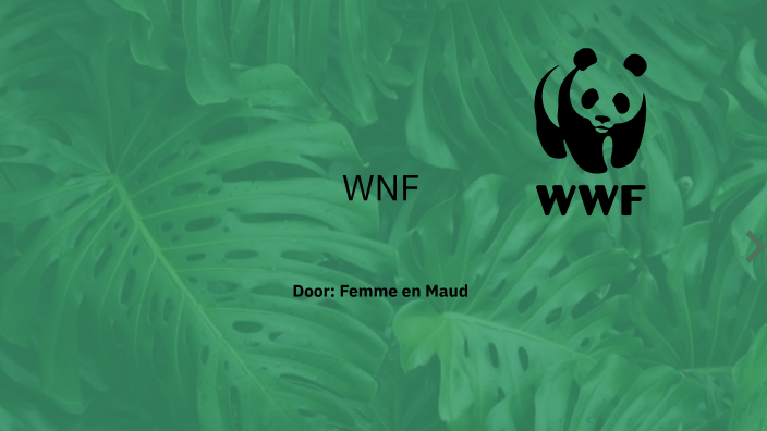 WWF: Protecting Plants & Animals by Leon Tiem van on Prezi