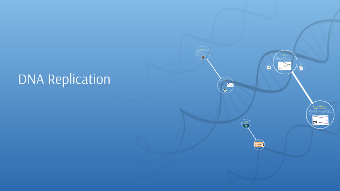DNA Replication by Kayleigh Johnson on Prezi