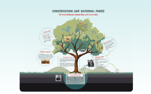 Conservation and National Parks by Anna Choi on Prezi