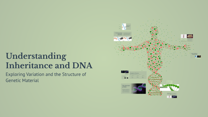 Understanding Inheritance and DNA by Sujoy Saha on Prezi