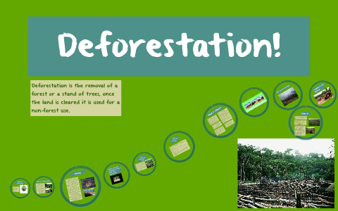 Deforestation! by Eleanor Hargreaves on Prezi