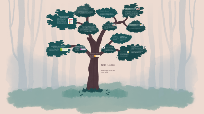 Final Project NATS (mind map) by Noor Malik on Prezi