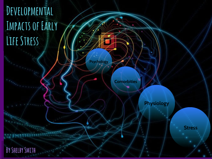 Developmental Impacts of Early Life Stress by shelby smith on Prezi
