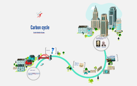 Carbon cycle by Daniela Mendieta Vizcaino on Prezi
