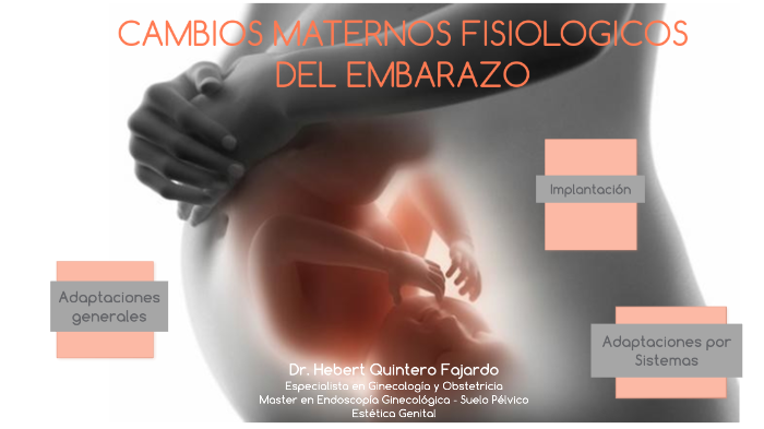 CAMBIOS MATERNOS FISIOLOGICOS DEL EMBARAZO by Carolina Luengo on Prezi