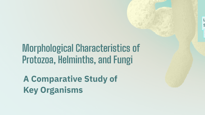 Morphological Characteristics of Protozoa, Helminths, and Fungi by ...