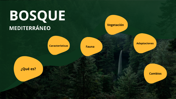 bosque mediterráneo by Nora López de Ocariz on Prezi