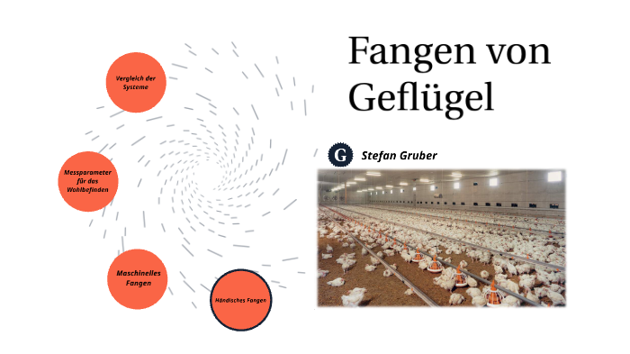 Fangen und Verladen von Geflügel by Stefan Gruber