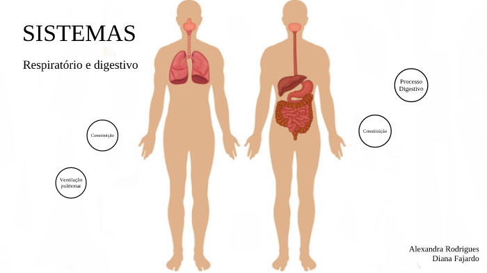 Sistema respiratório e digestivo by Alexandra Rodrigues on Prezi