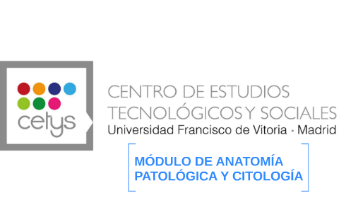 MODULO DE ANATOMÍA PATOLÓGICA Y CITOLOGÍA By Ignacio Baselga Carretero