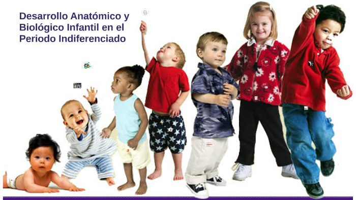 Desarrollo Anatomico y Biologico infantil en el Periodo Indif by ...