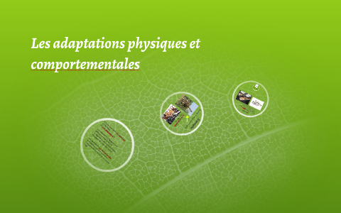 LES ADAPTATIONS PHYSIQUES ET COMPORTEMENTALES intelligence overview