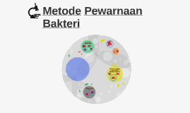 Metode Pewarnaan Bakteri By Sab Z Witwicky