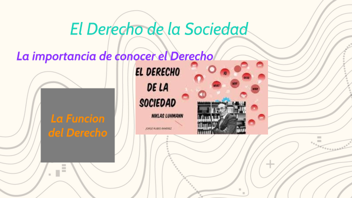 El Derecho De La Sociedad By Aylin Santana 6151