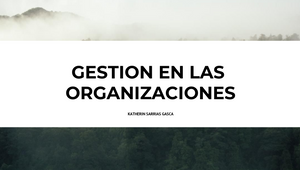 GESTION HUMANA EN LAS ORGANIZACION by Kathe Sarrias on Prezi Design