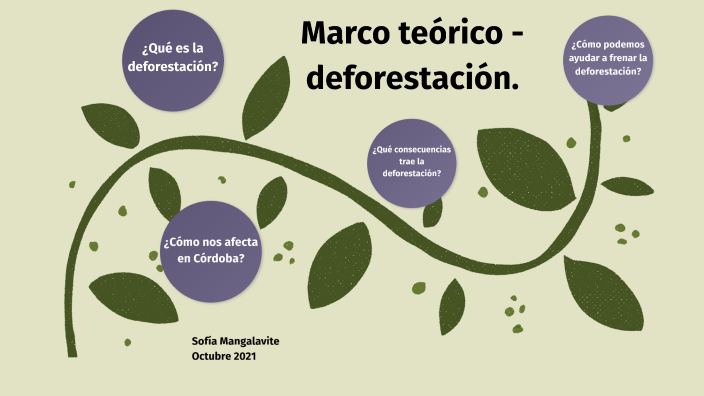 Ejemplo De Un Marco Teórico De La Deforestación